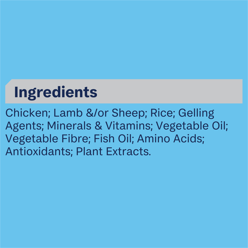 Puppy Lamb And Rice Wet Dog Food Cans