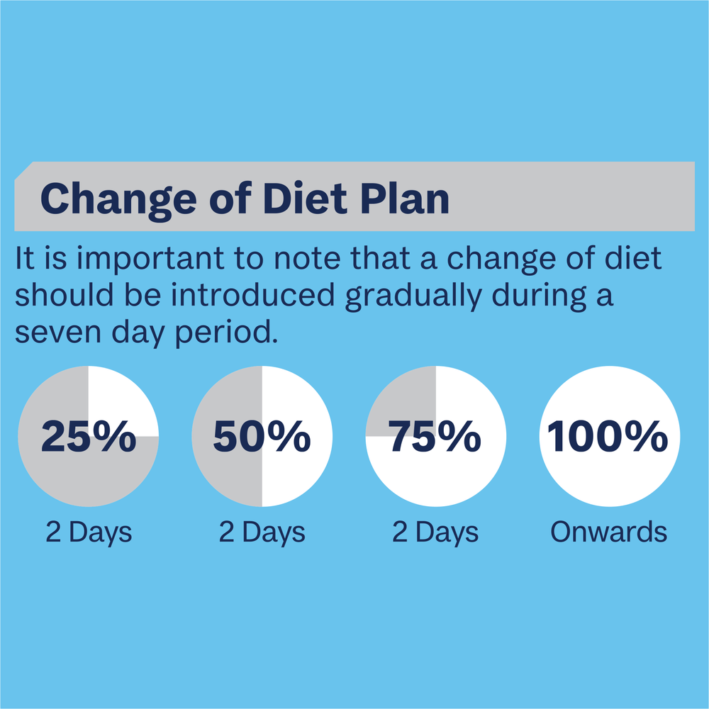 Puppy Lamb And Rice Wet Dog Food Cans