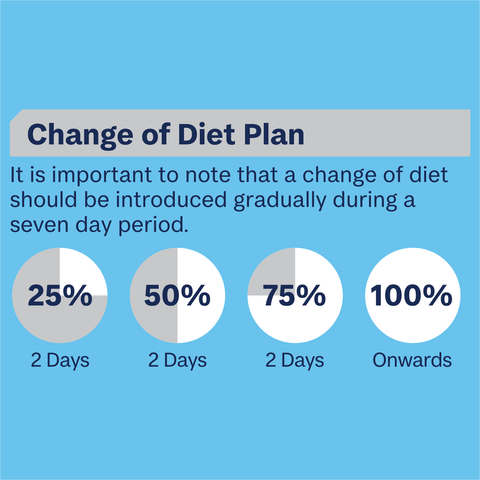 Puppy Lamb And Rice Wet Dog Food Cans