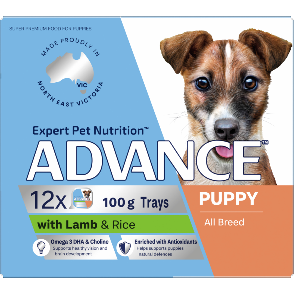 Puppy Single Serve Wet Dog Food Lamb With Rice