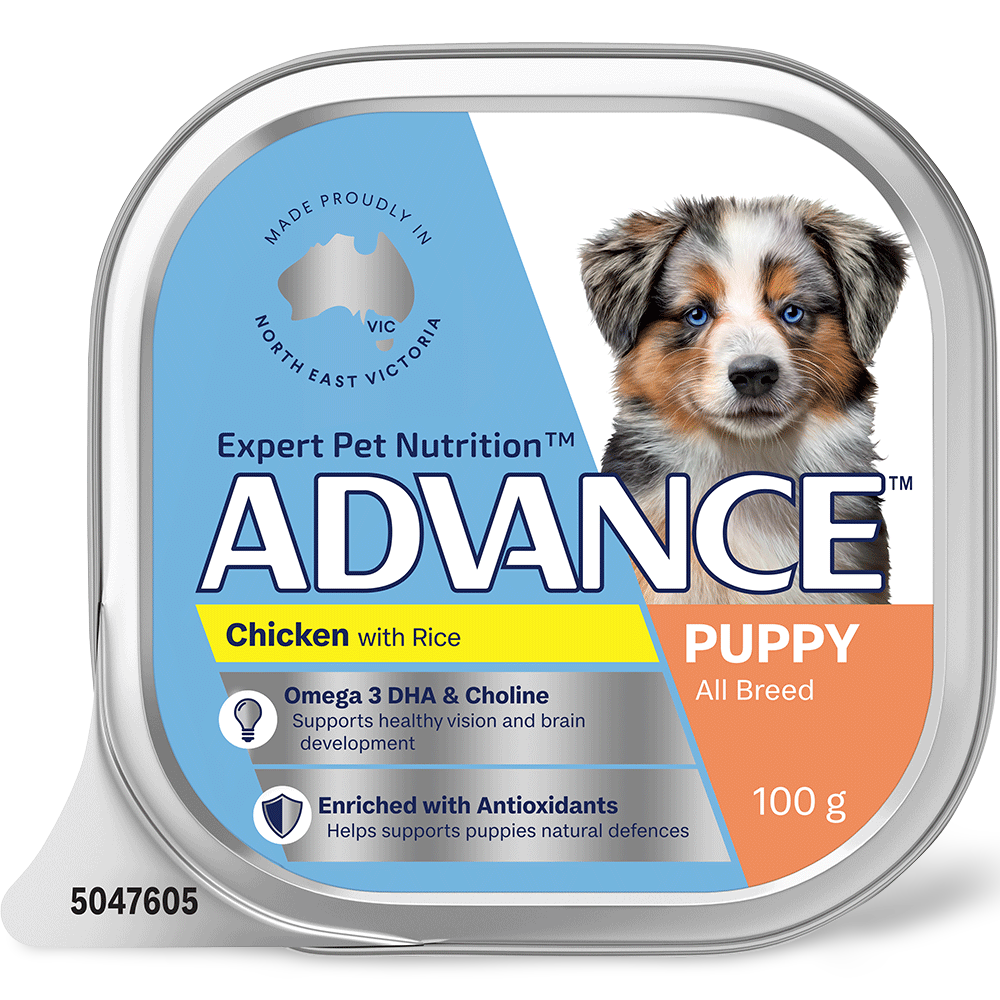 Puppy Single Serve Wet Dog Food Chicken With Rice