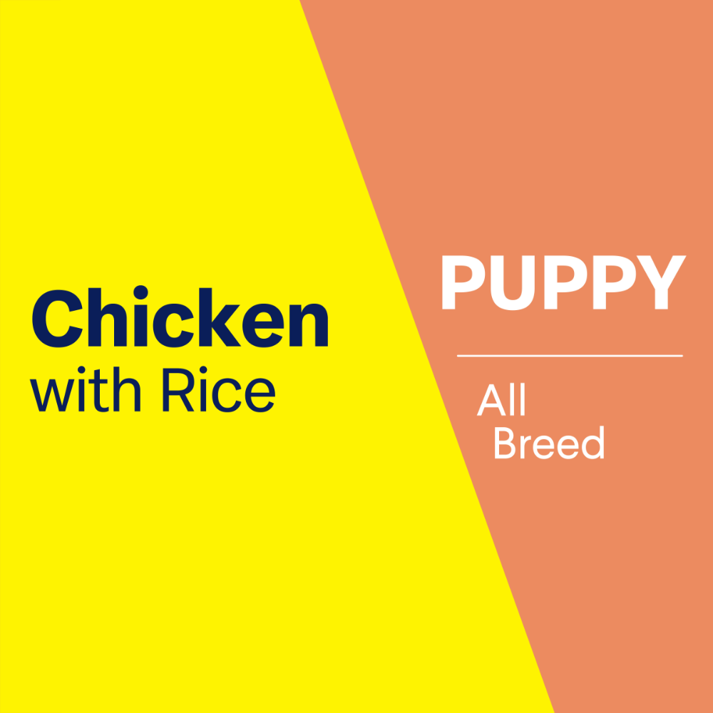 Puppy Single Serve Wet Dog Food Chicken With Rice