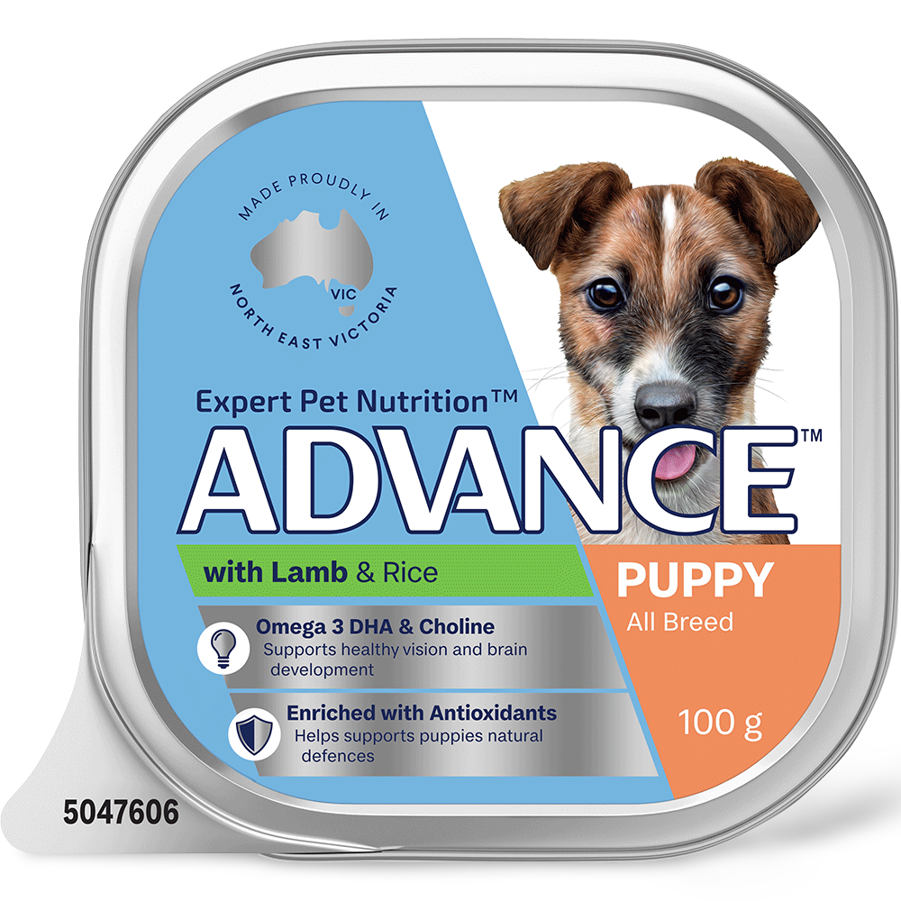 Puppy Single Serve Wet Dog Food Lamb With Rice