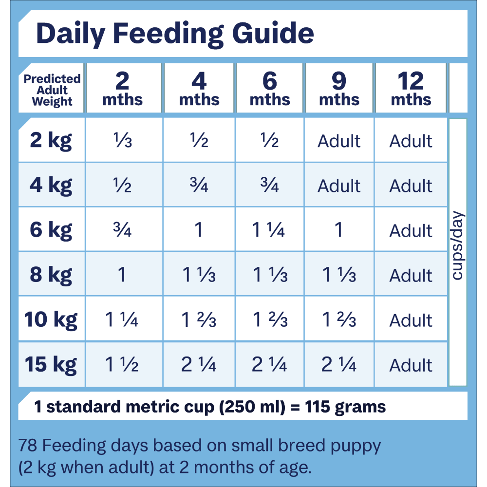 Puppy Small Breed Turkey And Rice Dry Dog Food