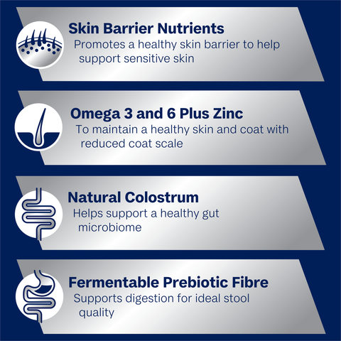 Sensitive Skin And Digestion Adult Dry Dog Food Turkey With Rice