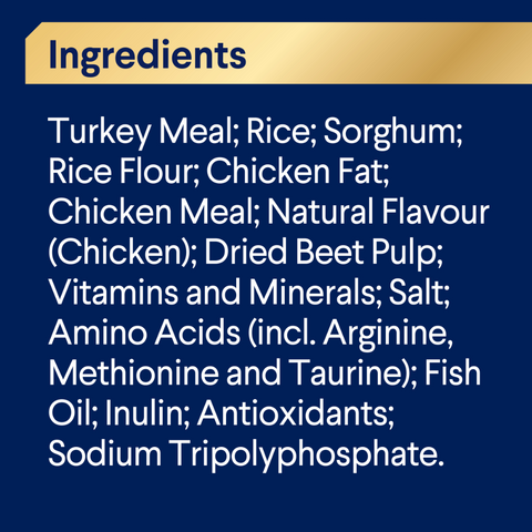 Small Oodles Dry Dog Food Turkey With Rice