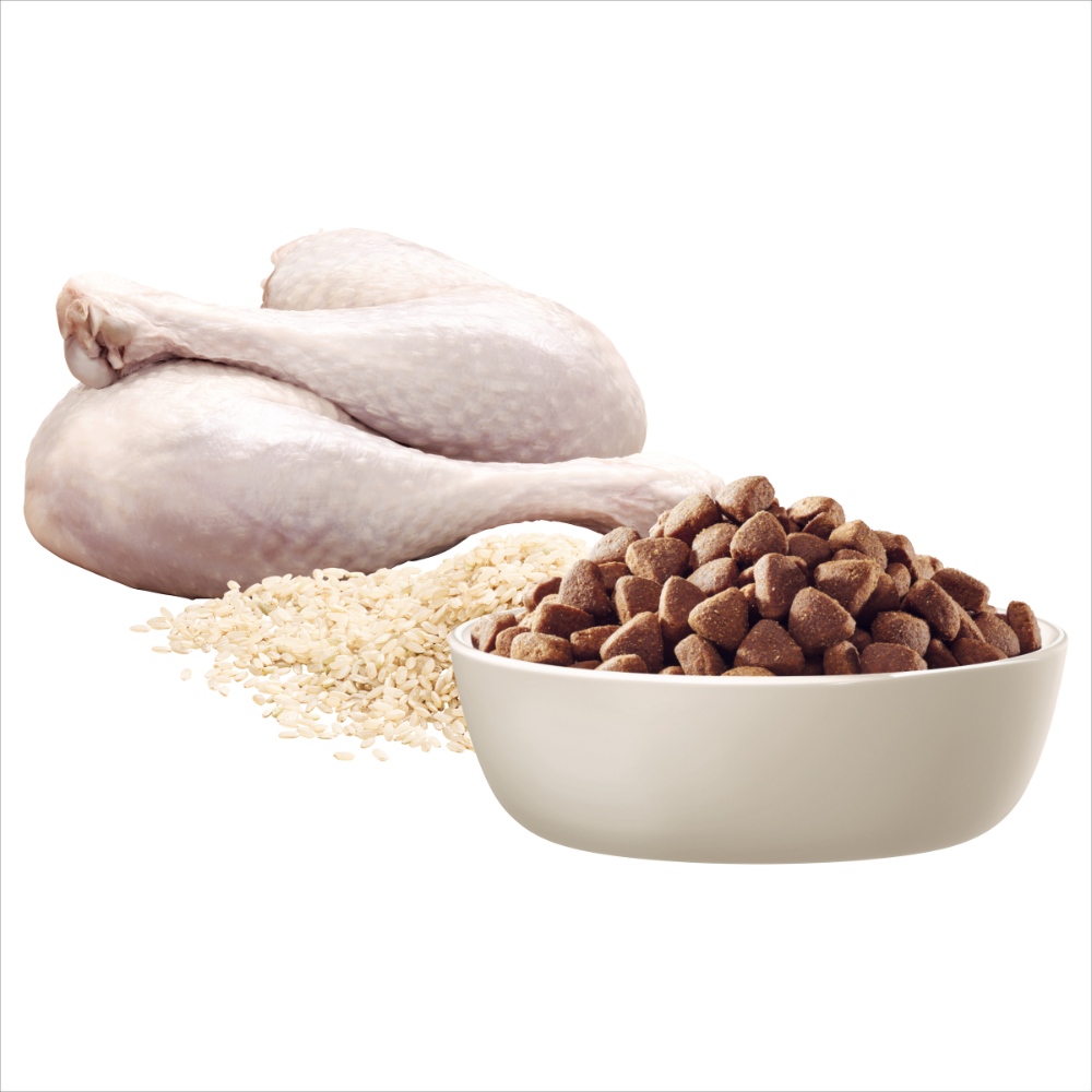 Small Oodles Dry Dog Food Turkey With Rice