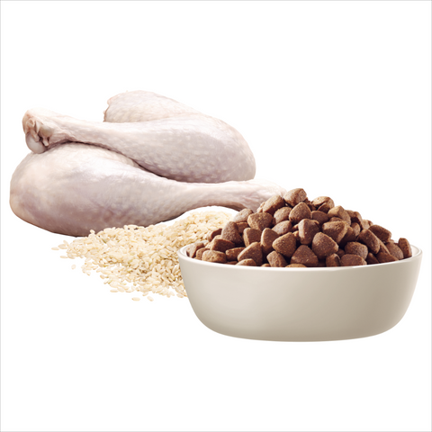 Small Oodles Dry Dog Food Turkey With Rice