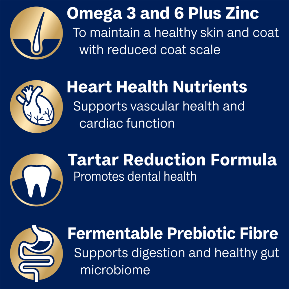 Small Oodles Dry Dog Food Turkey With Rice