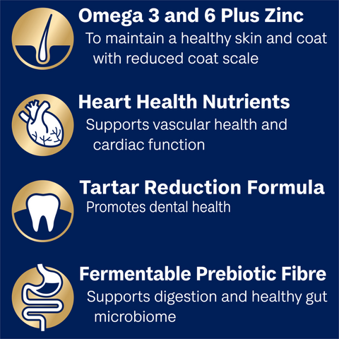 Small Oodles Dry Dog Food Turkey With Rice