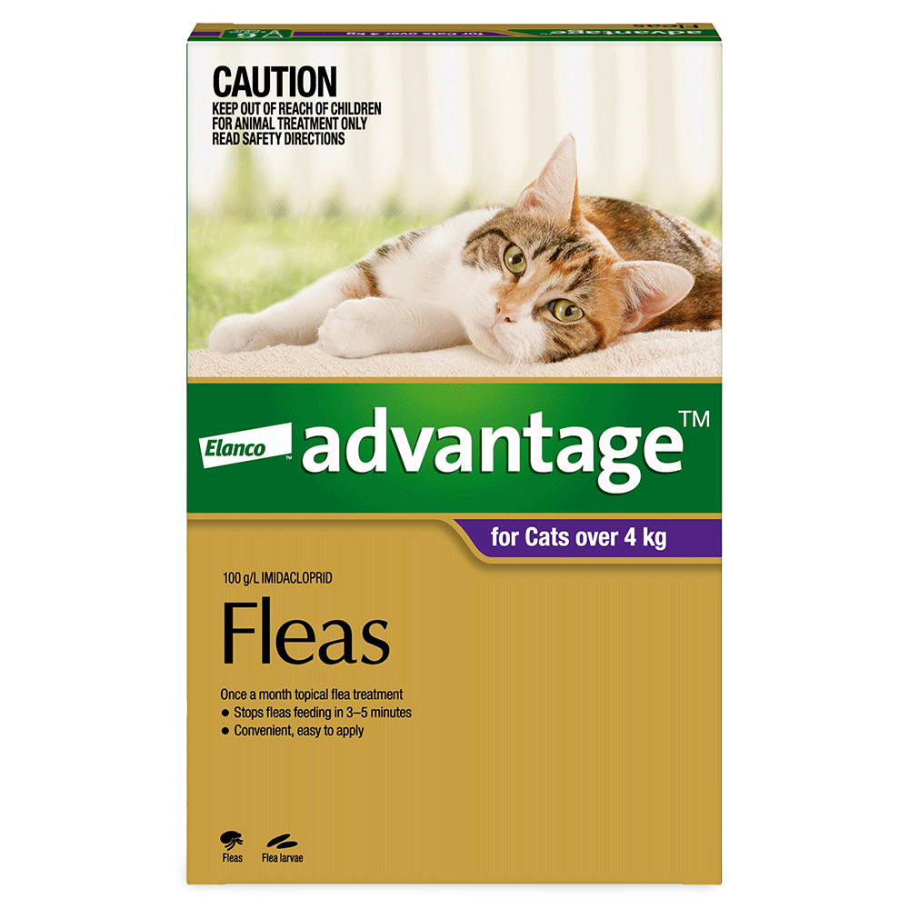 Flea Spot-On Cat Large Purple