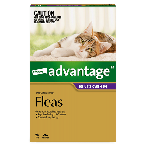 Flea Spot-On Cat Large Purple