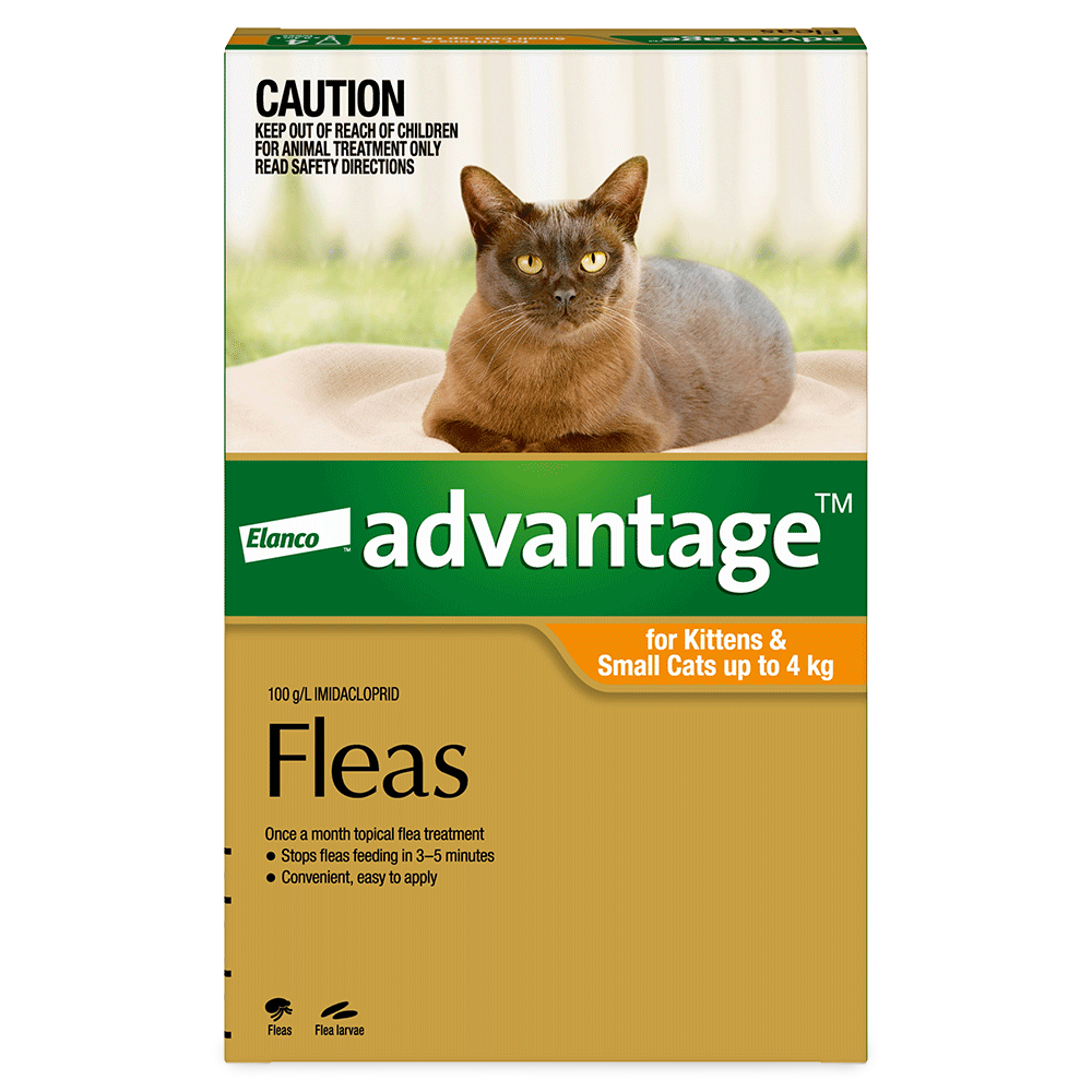 Flea Spot-On Cat Small Orange