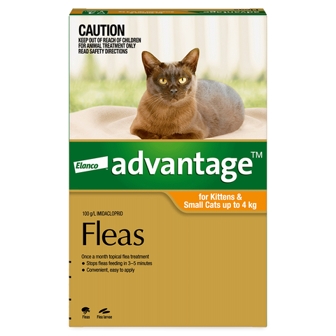 Flea Spot-On Cat Small Orange