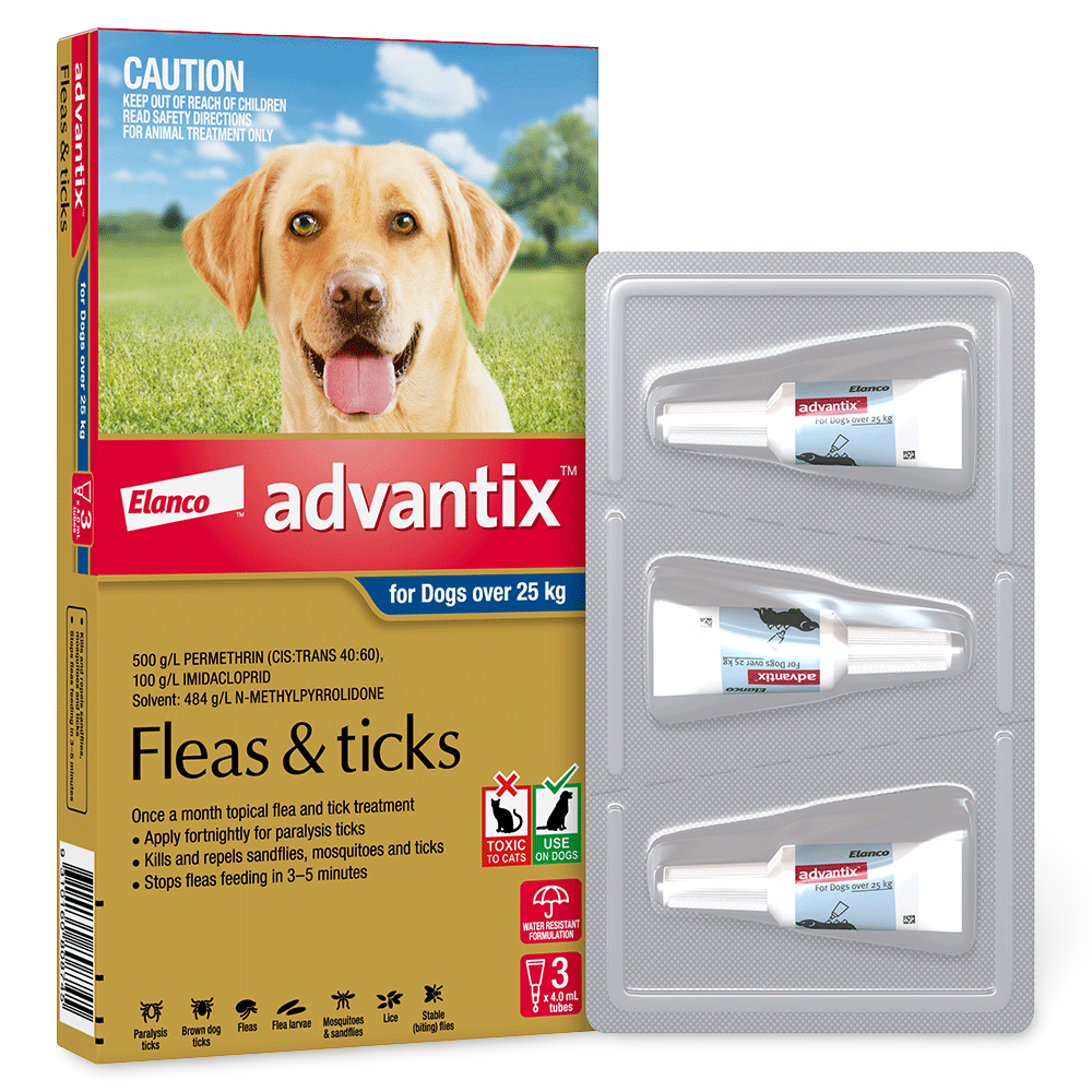 Extra Large Dogs Flea & Tick Spot-On Blue