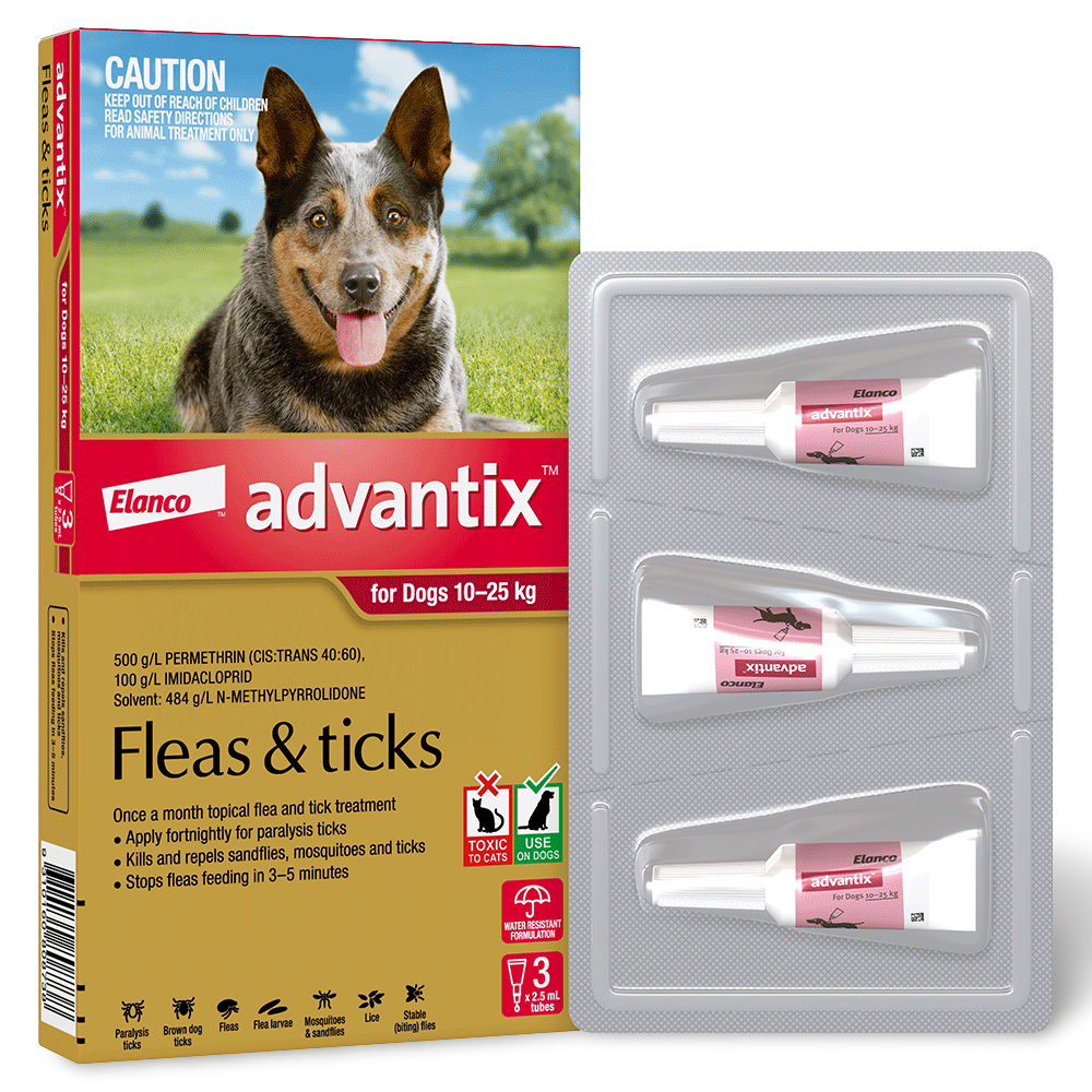 Large Dog Flea & Tick Spot-On Red