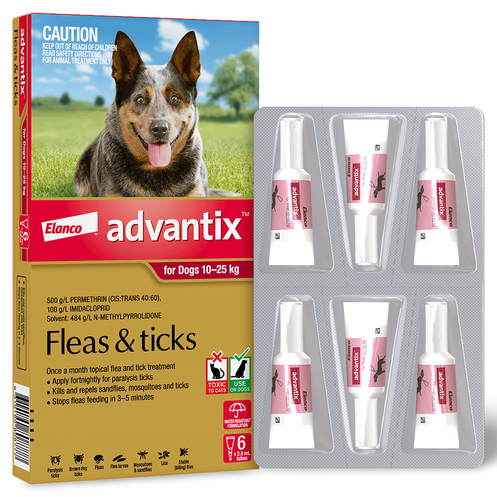 Large Dog Flea & Tick Spot-On Red