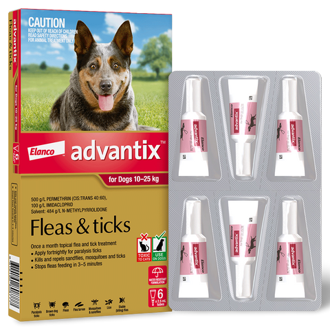 Large Dog Flea & Tick Spot-On Red