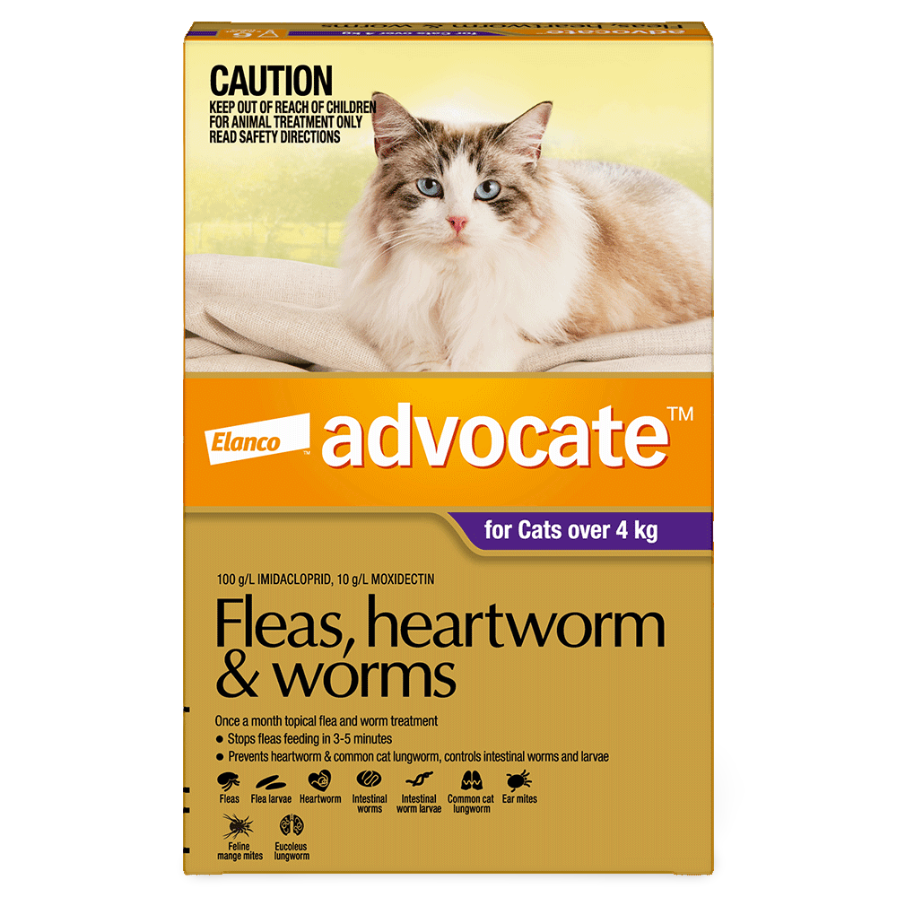 Flea & Worm Spot-On Cat Large Purple