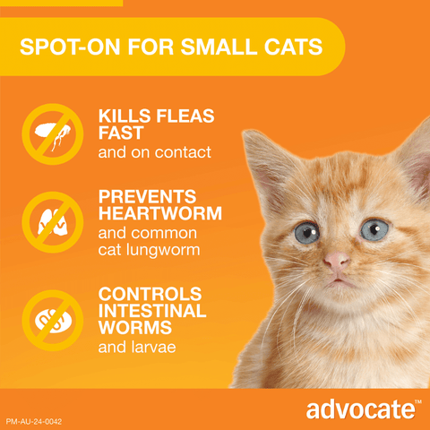 Flea & Worming Spot-On Cat Small Orange