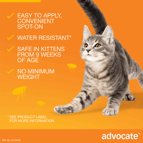 Flea & Worming Spot-On Cat Small Orange