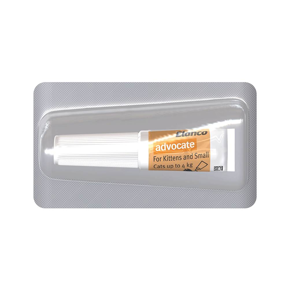 Flea & Worming Spot-On Cat Small Orange