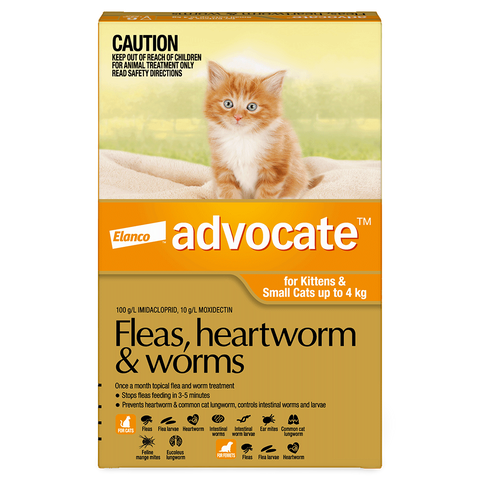 Flea & Worming Spot-On Cat Small Orange