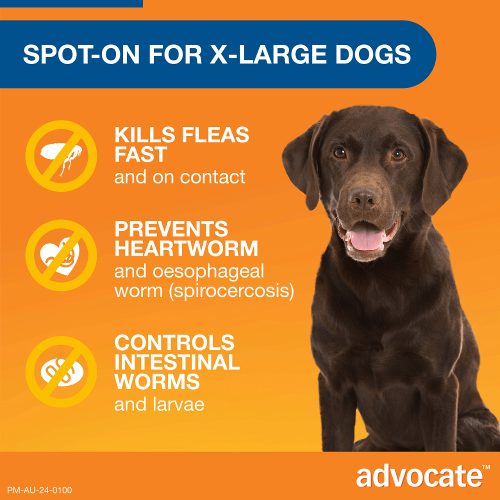 Blue Spot-On for Extra Large Dogs