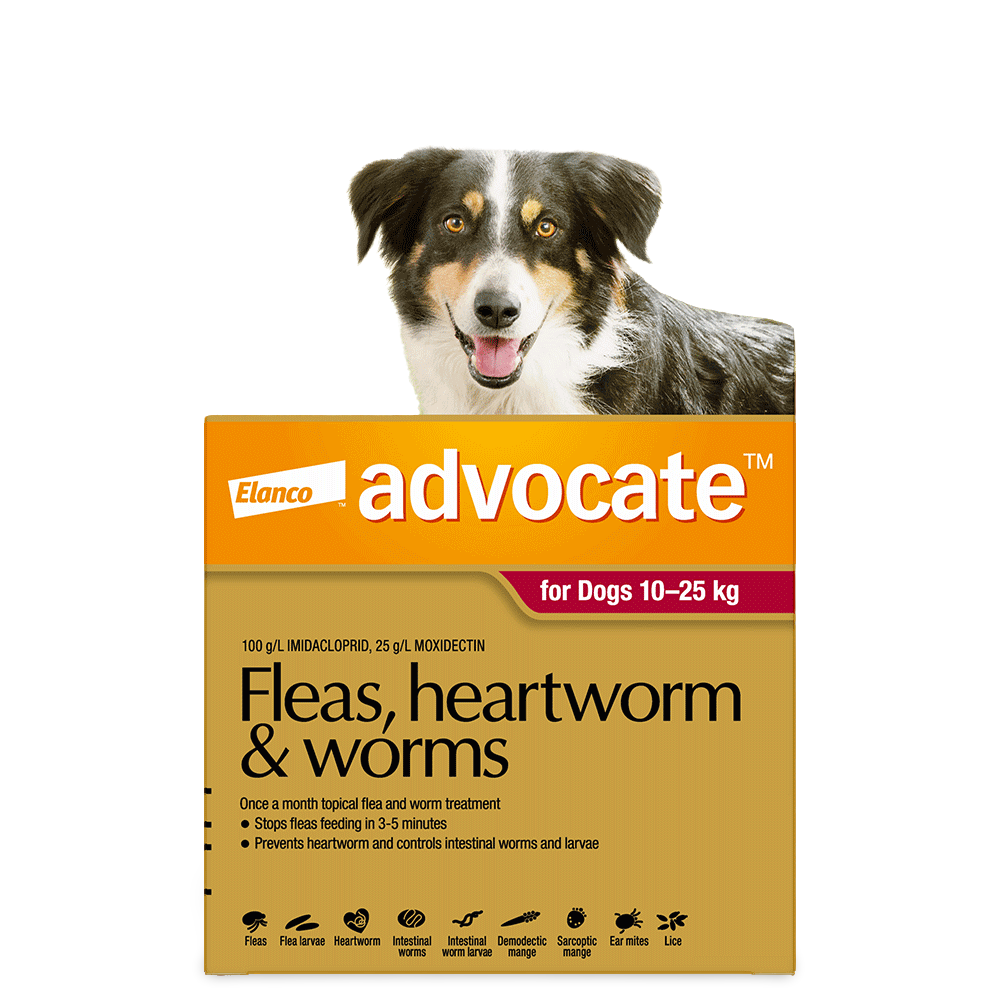 Red Flea & Worm Spot-On for Large Dogs