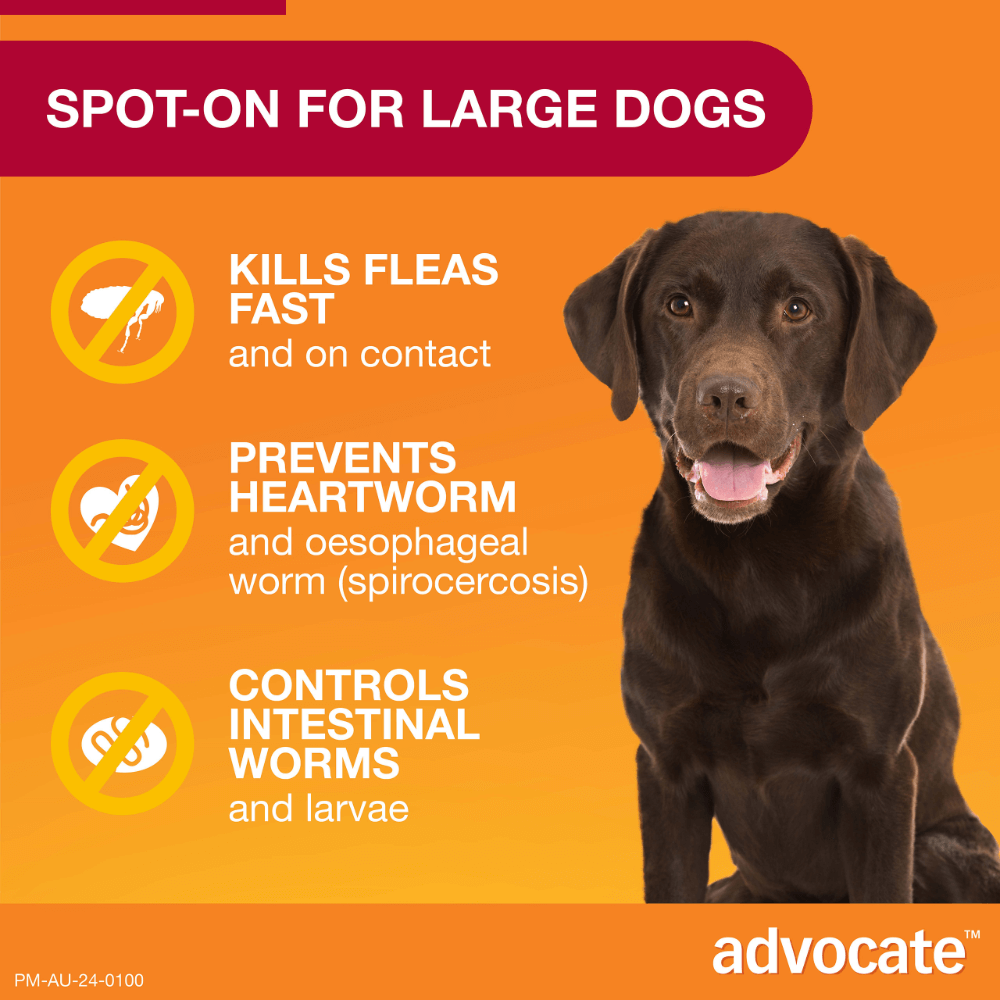 Red Flea & Worm Spot-On for Large Dogs