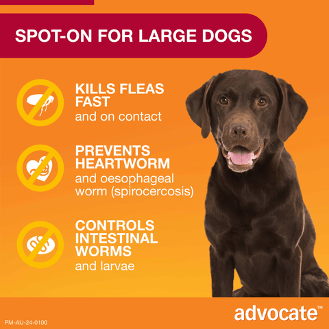 Red Flea & Worm Spot-On for Large Dogs