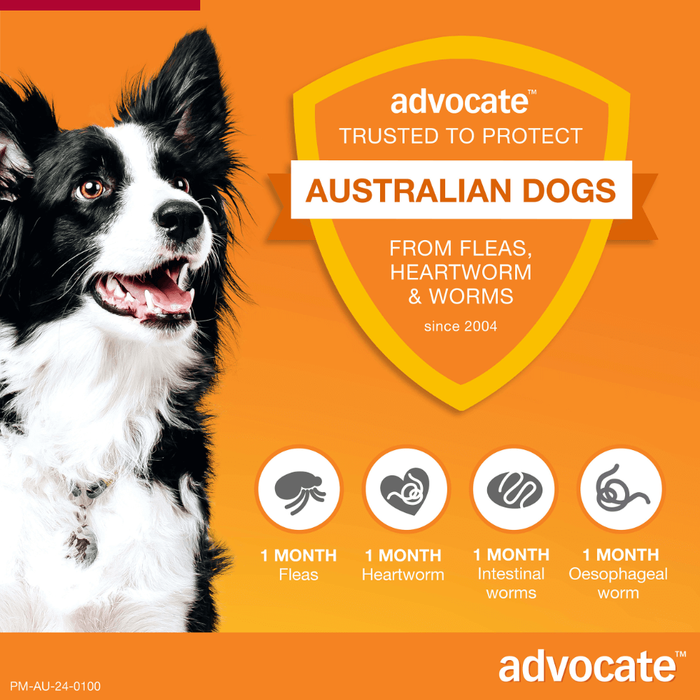 Red Flea & Worm Spot-On for Large Dogs