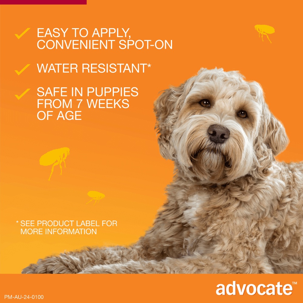 Red Flea & Worm Spot-On for Large Dogs