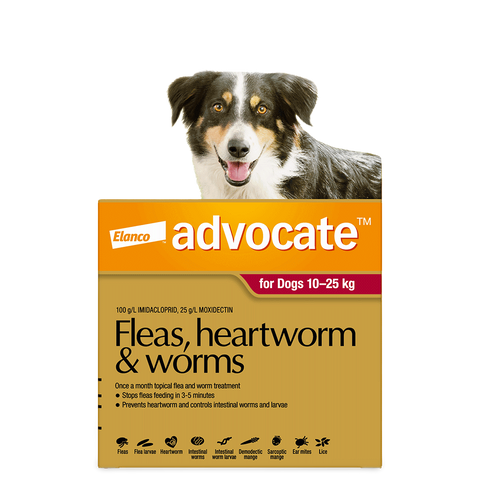 Red Flea & Worm Spot-On for Large Dogs
