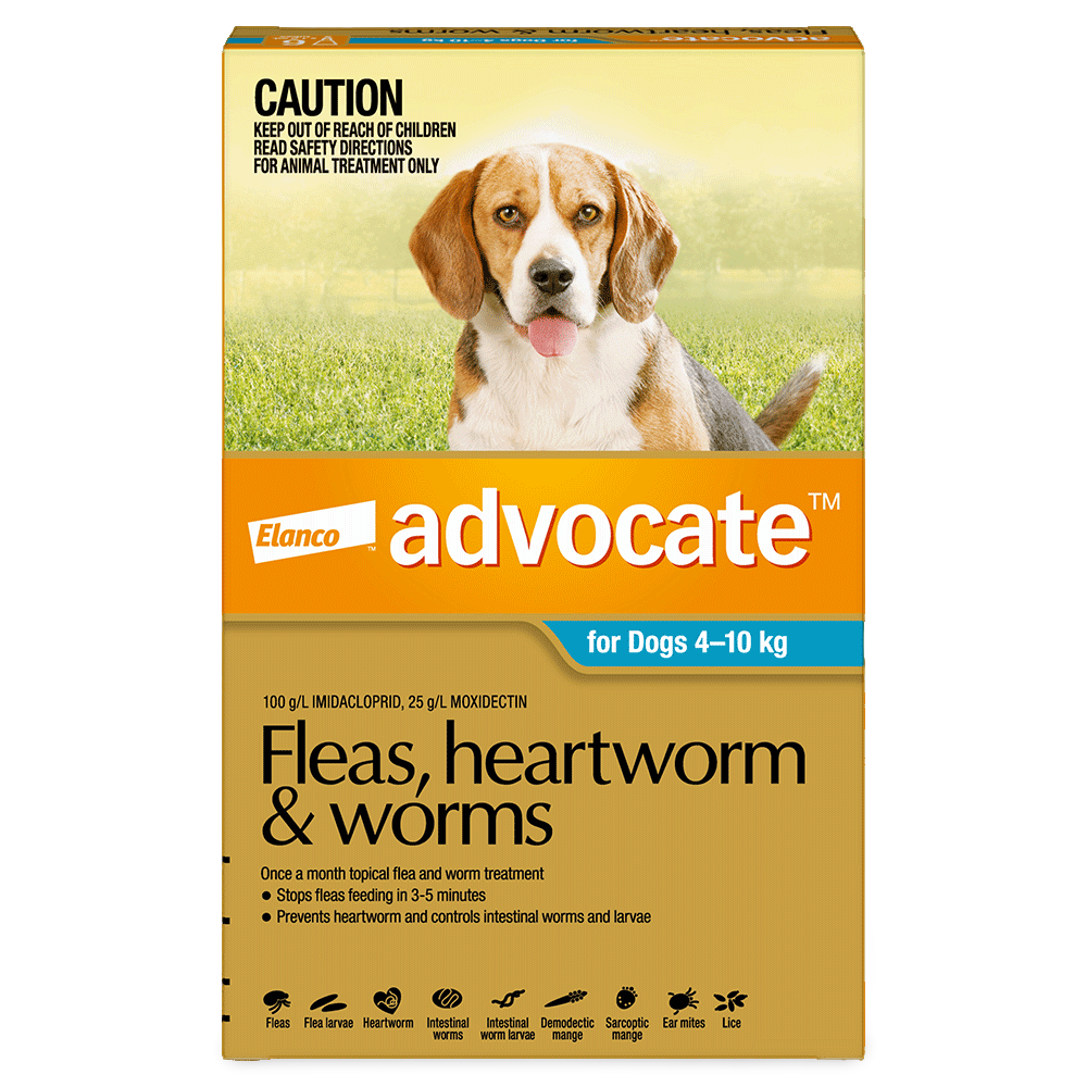 Aqua Flea & Worm Spot-On for Medium Dogs