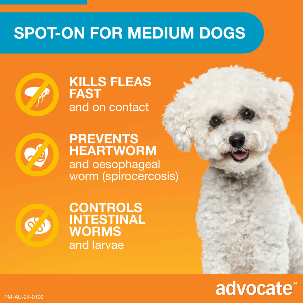 Aqua Flea & Worm Spot-On for Medium Dogs