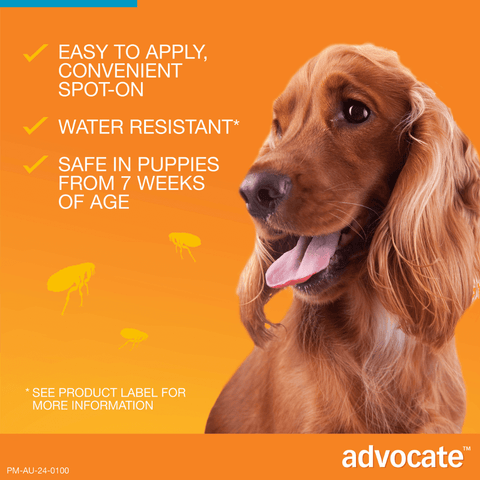 Aqua Flea & Worm Spot-On for Medium Dogs