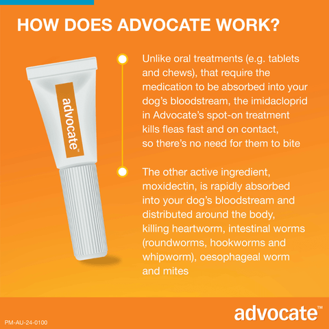 Aqua Flea & Worm Spot-On for Medium Dogs