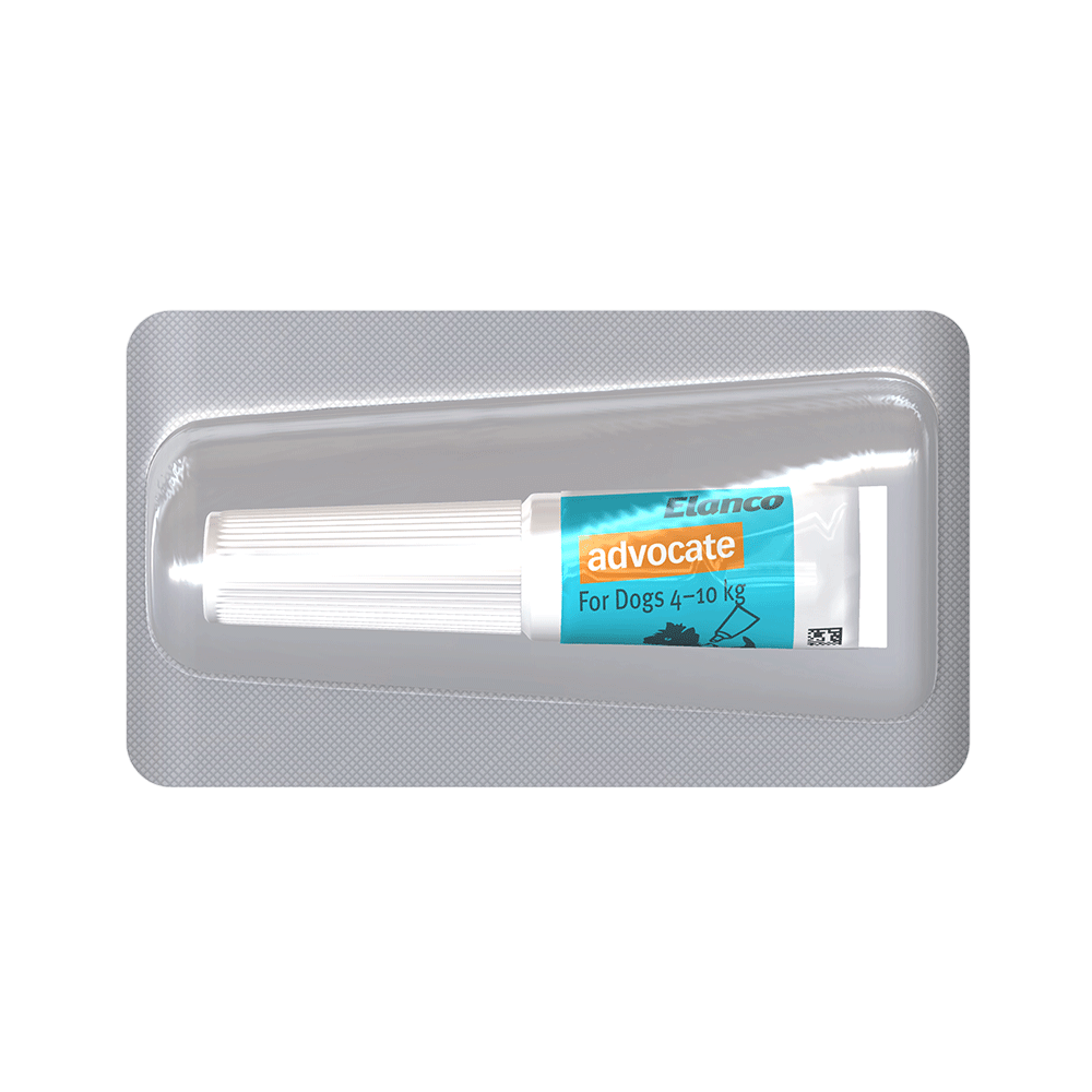Aqua Flea & Worm Spot-On for Medium Dogs