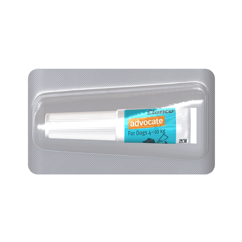 Aqua Flea & Worm Spot-On for Medium Dogs