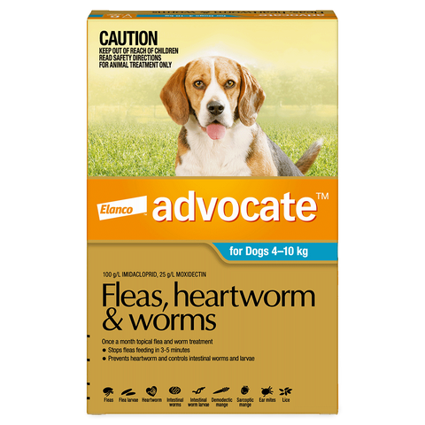 Aqua Flea & Worm Spot-On for Medium Dogs