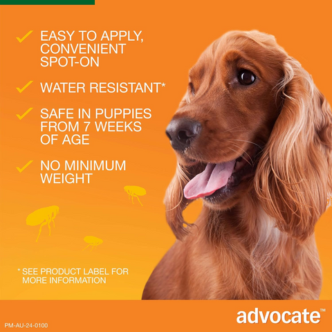 Green Spot-On for Small Dogs