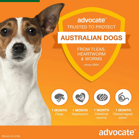 Green Spot-On for Small Dogs
