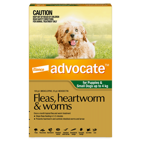Green Spot-On for Small Dogs