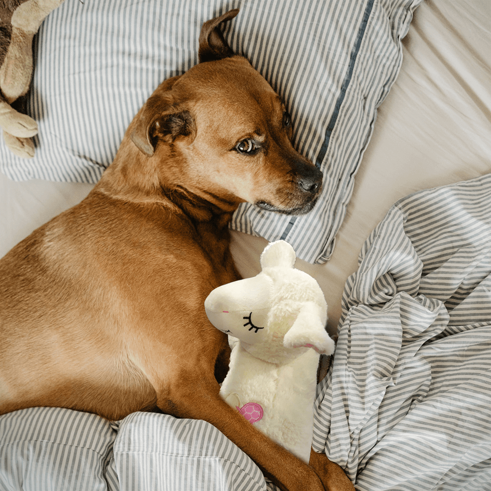 Little Buddy Heart Beat Sheep