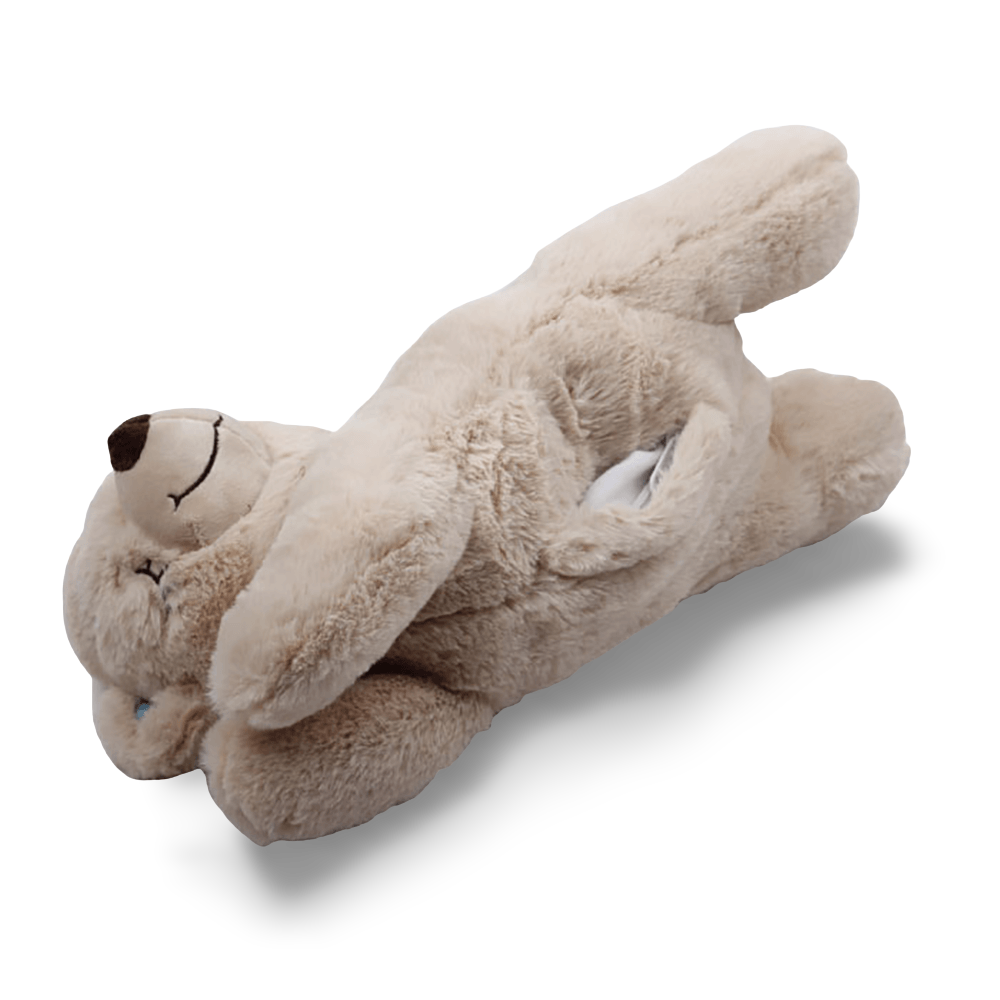 Little Buddy Warm Bear