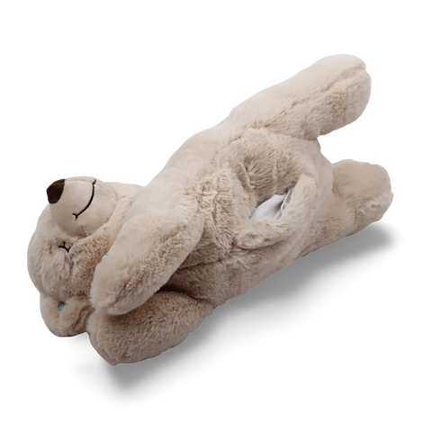 Little Buddy Warm Bear