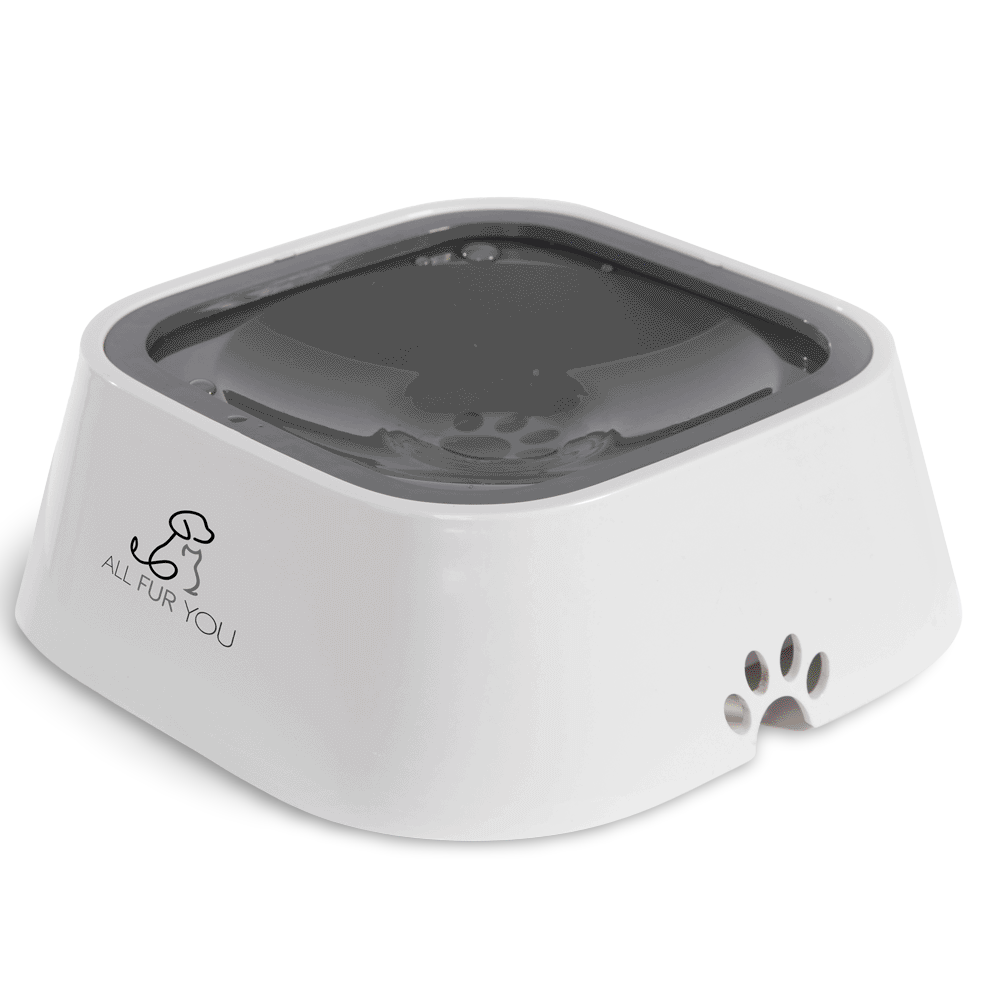 Anti Splash Pet Bowl Grey