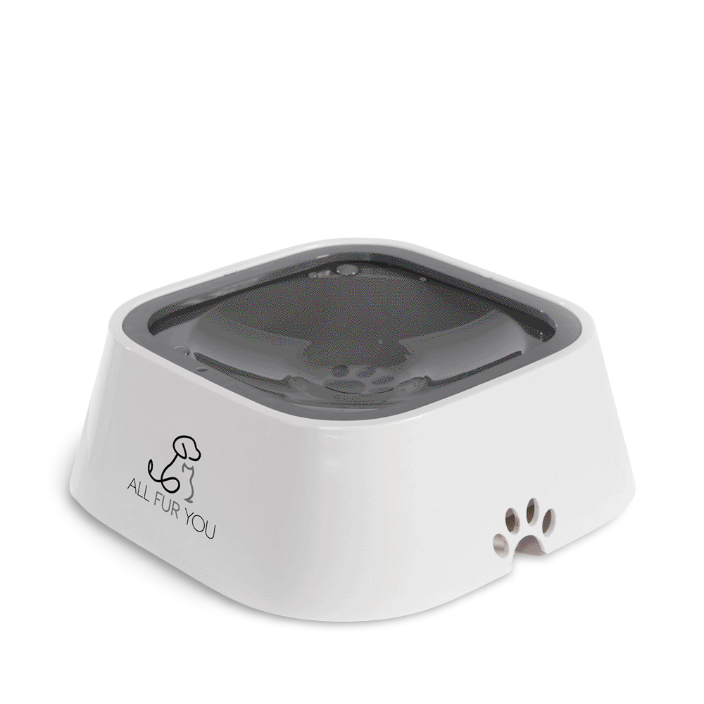 Anti Splash Pet Bowl Grey