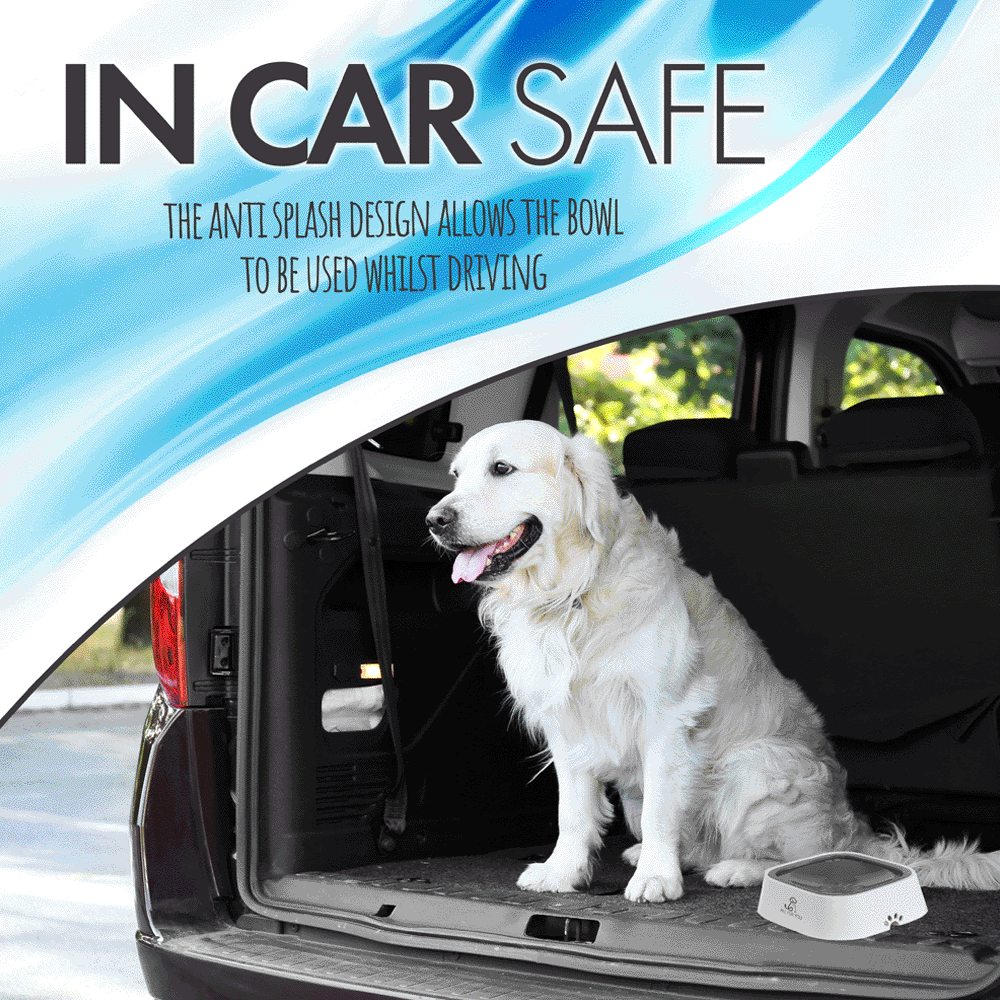 Anti Splash Pet Bowl Grey